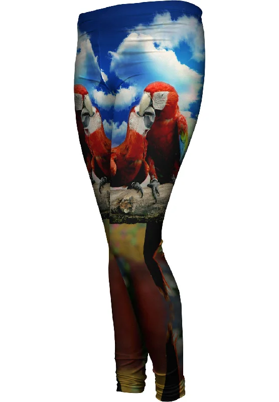 Casual Print Design Love Kiss Macaw