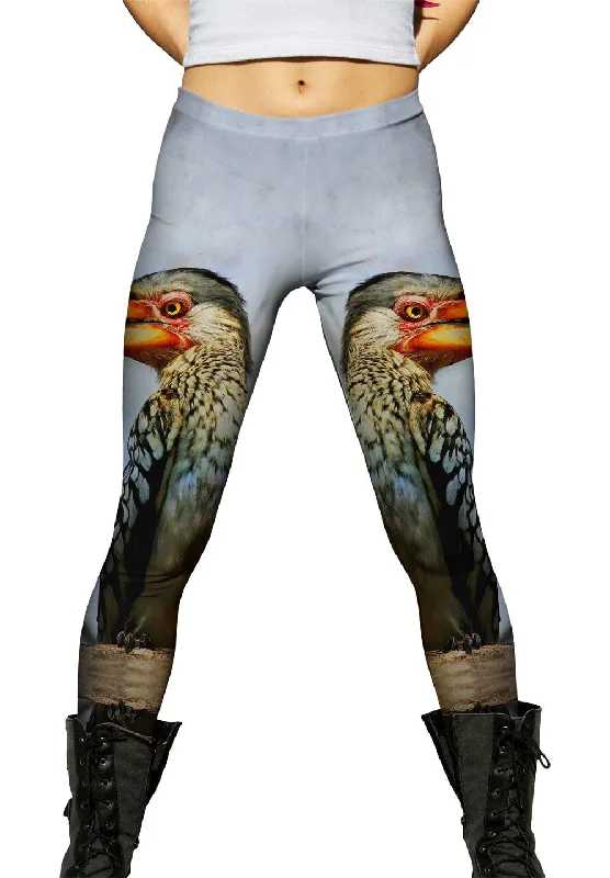 Casual Simple Style Yellow Billed Hornbill